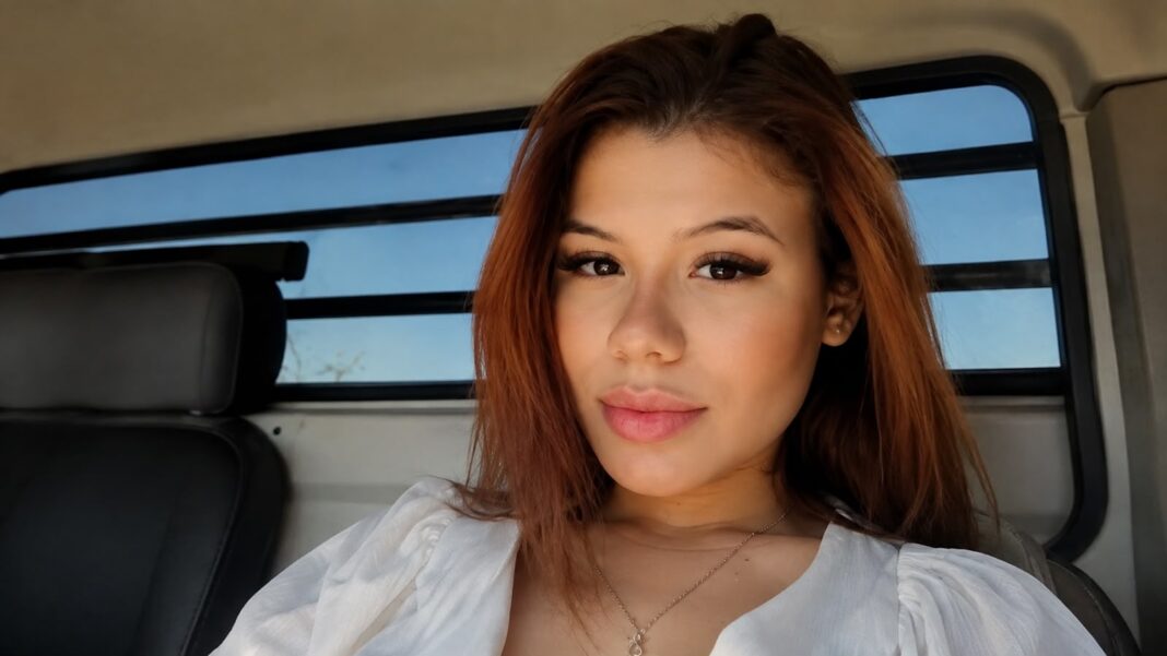 Jovem grávida ferida em acidente na TO-222 morre após cinco dias internada em Araguaína - Folha do Girassol
